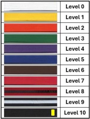 Training Qualities - Clear Progression - Rank Level Structure